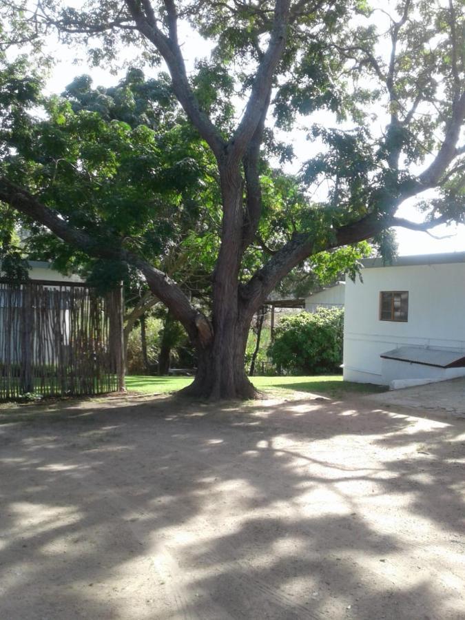 Woodpecker Apartamento Plettenberg Bay Exterior foto