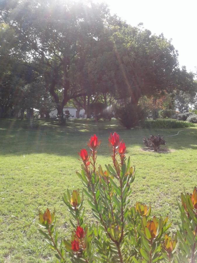 Woodpecker Apartamento Plettenberg Bay Exterior foto