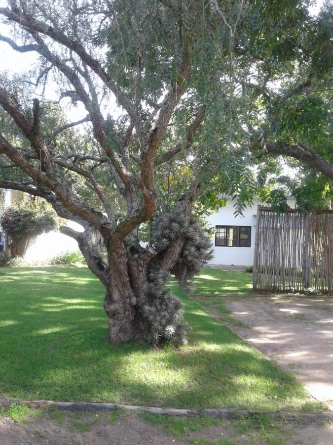 Woodpecker Apartamento Plettenberg Bay Exterior foto